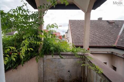 foto02_11550180_137b0s.jpg