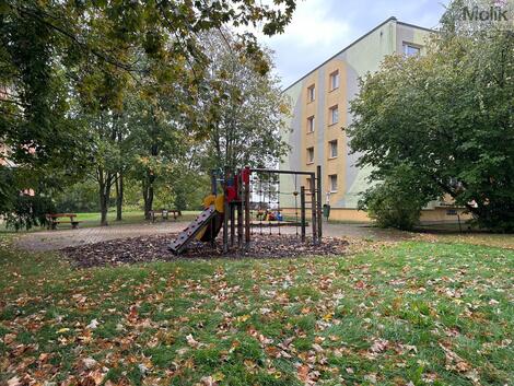 foto02_11551140_1b49cs.jpg