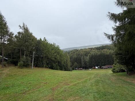 foto02_11551755_u5psw.jpg