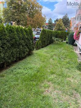 foto02_11553656_36w40.jpg