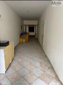foto02_11556580_hgvl0.jpg