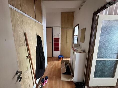 foto02_11557159_1my5x0.jpg