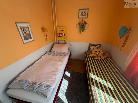 foto02_11558251_3hew4.jpg