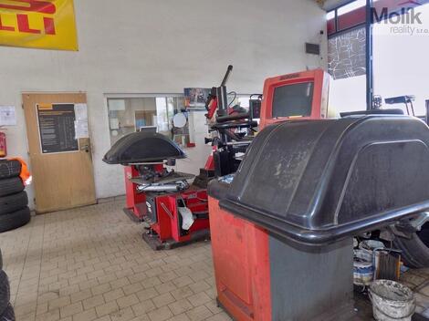 foto02_11560164_ehrso.jpg