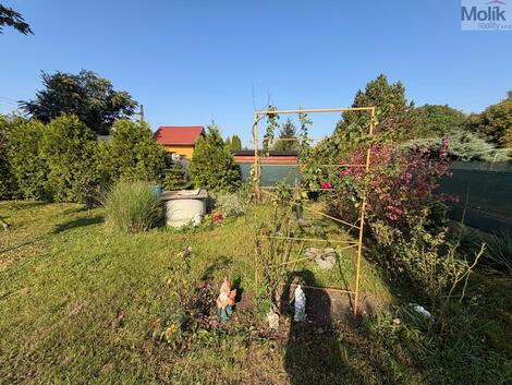 foto02_11561184_262vo.jpg