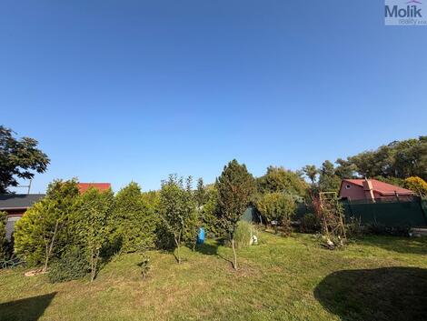foto02_11561184_3dzo.jpg