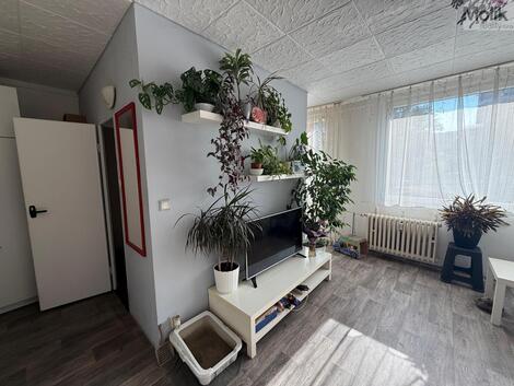 foto02_11561883_1bl5rk.jpg