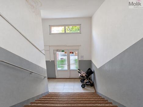 foto02_11563042_kxao8.jpg