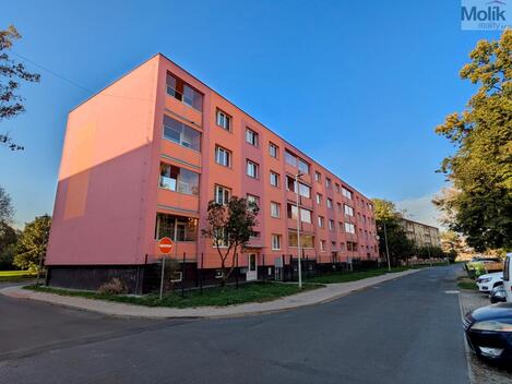 foto02_11563042_swfpk.jpg