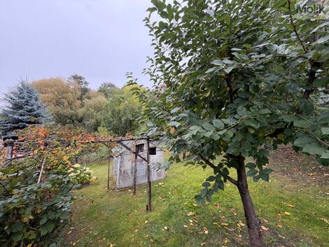 foto02_11565803_5tu38.jpg