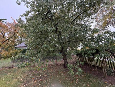 foto02_11565803_q75bg.jpg