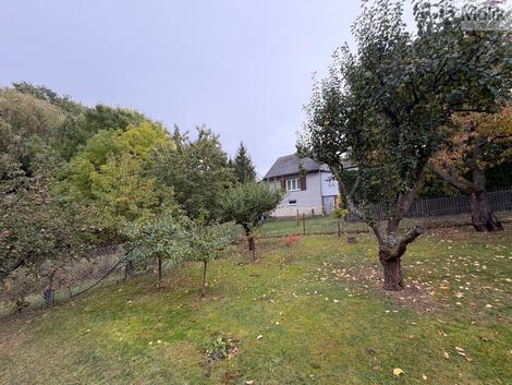 foto02_11565803_w7ifs.jpg