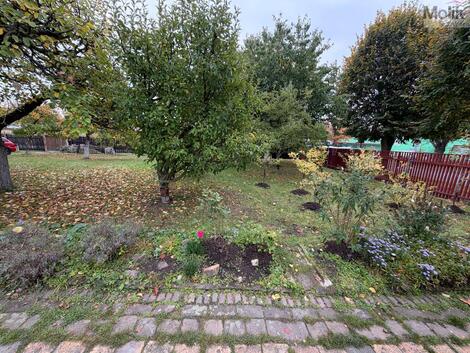 foto02_11566443_1ag5u8.jpg