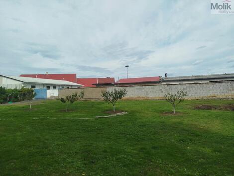 foto02_11566952_pbjnw.jpg