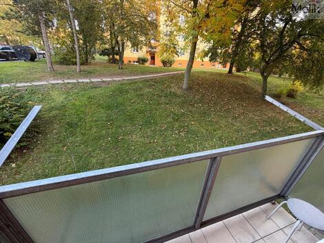 foto02_11566953_filvk.jpg