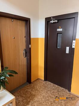 foto02_11492809_1l2ec.jpg