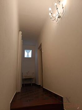 foto02_11546145_t1xuw.jpg