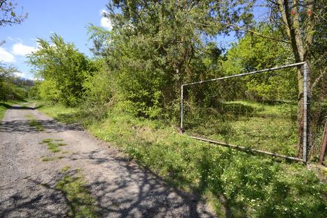 foto02_11406242_dekdk.jpg