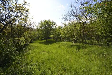 foto02_11406242_nfjo4.jpg