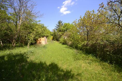 foto02_11406242_rnasc.jpg