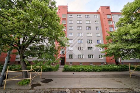foto02_11494284_x9su0.jpg
