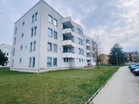 foto02_11486182_rjmgg.jpg