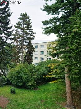 foto02_11562542_1hw7dk.jpg