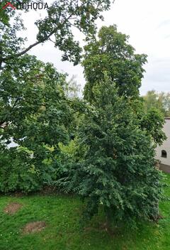 foto02_11562542_c9spg.jpg