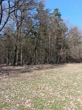 foto04_11281157_nrns4.jpg