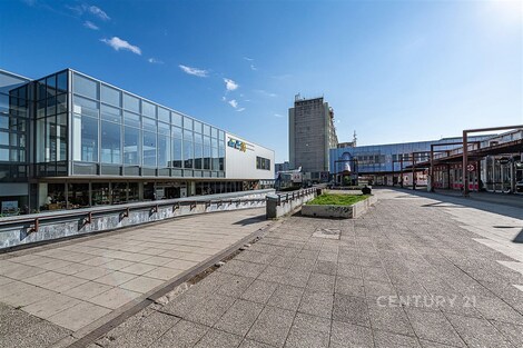 foto04_11482529_zu0tg.jpg