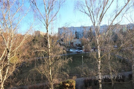foto04_11498170_1b4jgo.jpg