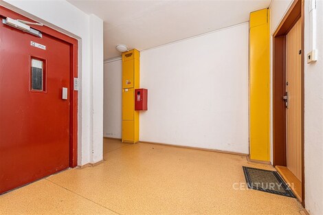 foto04_11525432_erauo.jpg