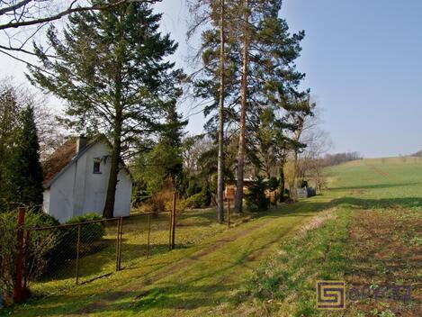 foto02_11323398_1ksjjs.jpg