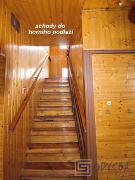 foto02_11370966_1n2ggw.jpg