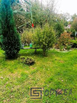 foto02_11382566_1deyd0.jpg