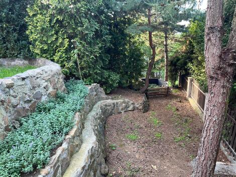 foto02_11546701_2k4o0.jpg