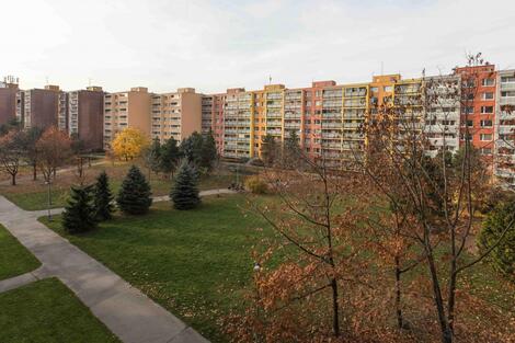 foto02_11562543_ewoog.jpg