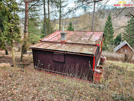 foto09_11491836_39324.jpg