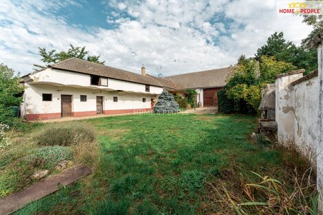 foto09_11555738_48389.jpg