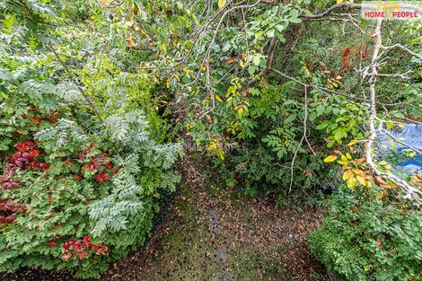 foto09_11567245_29195.jpg