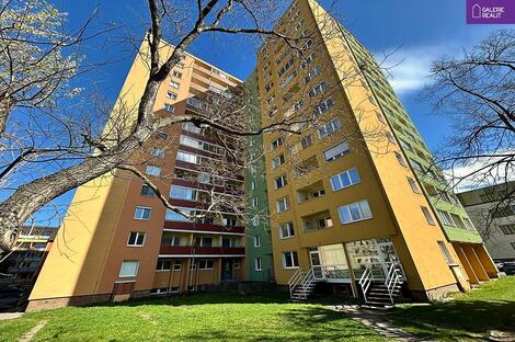 foto02_11479317_1f8nn0.jpg