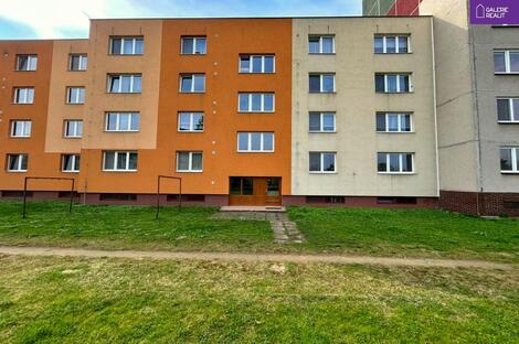 foto02_11483471_7sppk.jpg