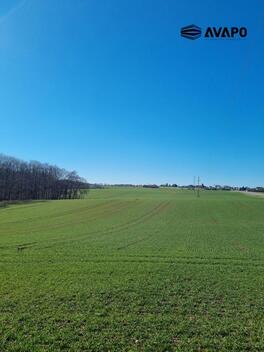foto02_11460902_q6bj8.jpg