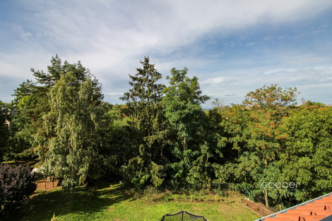 foto10_11552175_35235.jpg