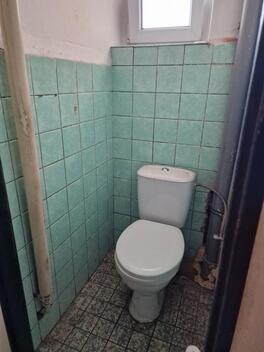 foto02_11469426_13gav4.jpg