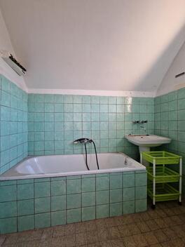 foto02_11469426_1ilxrk.jpg
