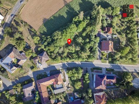 foto10_11555234_63510.jpg