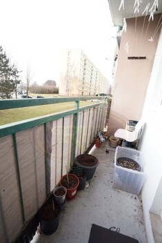 foto07_11461897_86410.jpg