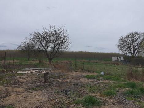 foto02_11266319_za1rc.jpg