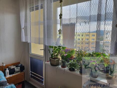 foto02_11329894_1loh34.jpg